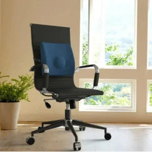 COJIN LUMBAR THERAS TM320